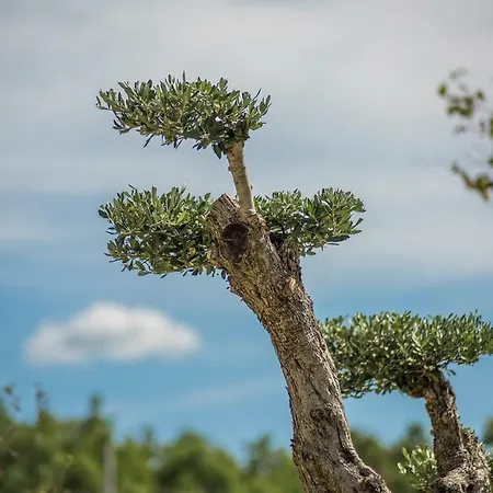 Gardenia With Pool Tinjan