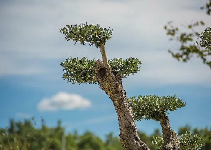 Gardenia With Pool Tinjan